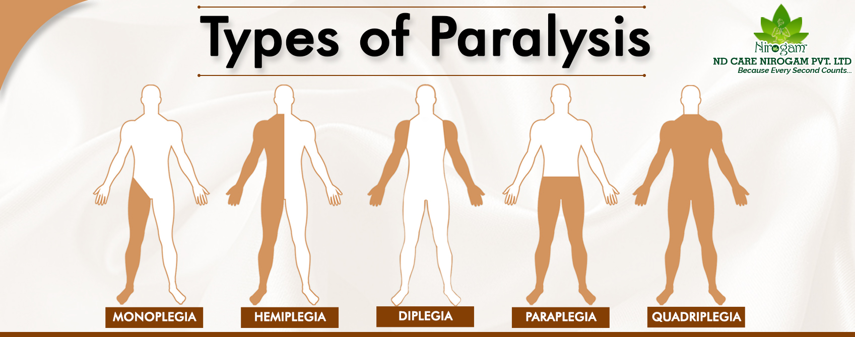 Paraplegia Causes